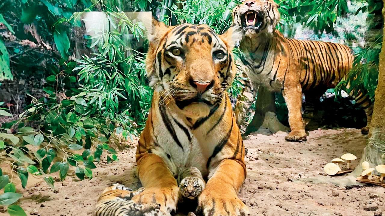 International Museum Day 2026: Your guide to Mumbai's lesser-known treasures